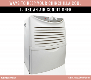 Ways To Keep Your Chinchilla Cool 1 - Use An Air Conditioner