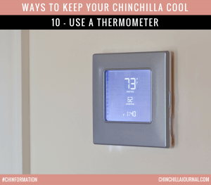 Ways To Keep Your Chinchilla Cool 10 - Use A Thermometer