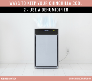 Ways To Keep Your Chinchilla Cool 2 - Use A Dehumidifier