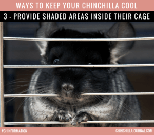 Ways To Keep Your Chinchilla Cool 3 - Provide Shaded Areas Inside Their Cage