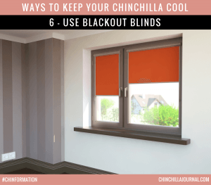 Ways To Keep Your Chinchilla Cool 6 - Use Blackout Blinds