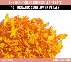 The Healthiest Chinchilla Treats - 10 - Organic Sunflower Petals