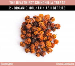 The Healthiest Chinchilla Treats - 2 - Organic Mountain Ash Berries