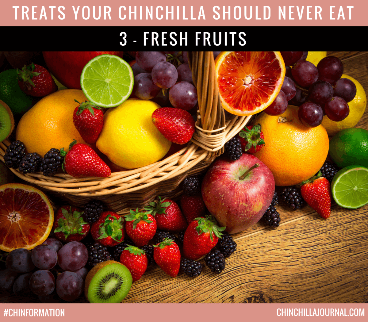 Treats Your Chinchilla Should Never Eat - 3 - Fresh Fruits