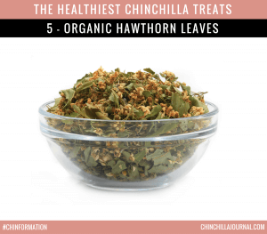 The Healthiest Chinchilla Treats - 5 - Organic Hawthorn Leaves