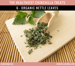 The Healthiest Chinchilla Treats - 6 - Organic Nettle Leaves