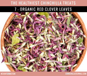 The Healthiest Chinchilla Treats - 7 - Organic Red Clover Leaves