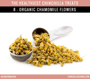 The Healthiest Chinchilla Treats - 8 - Organic Chamomile Flowers