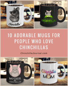 10 Adorable Mugs For People Who Love Chinchillas