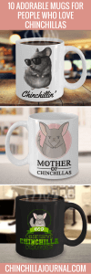 10 Adorable Mugs For People Who Love Chinchillas