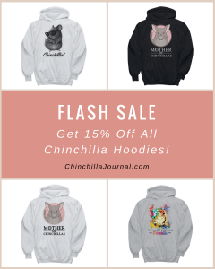 Flash Sale - Get 15% Off All Chinchilla Hoodies!