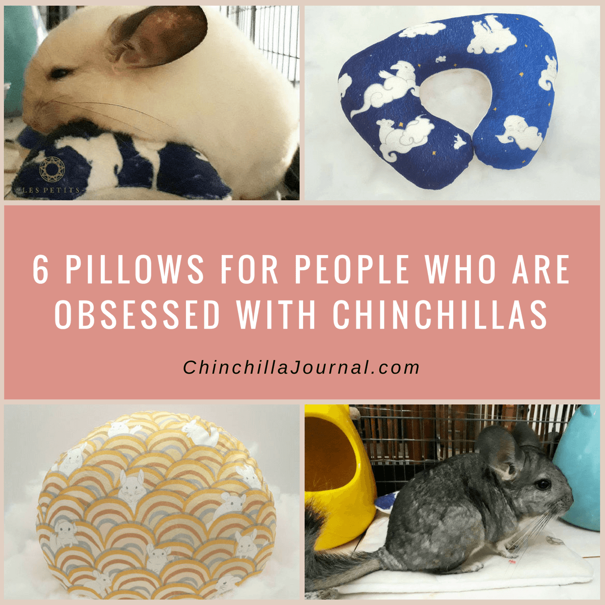 Chinchilla pillows best sale