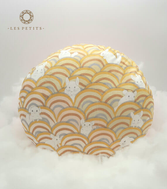 Cloud9 Sun Cushion